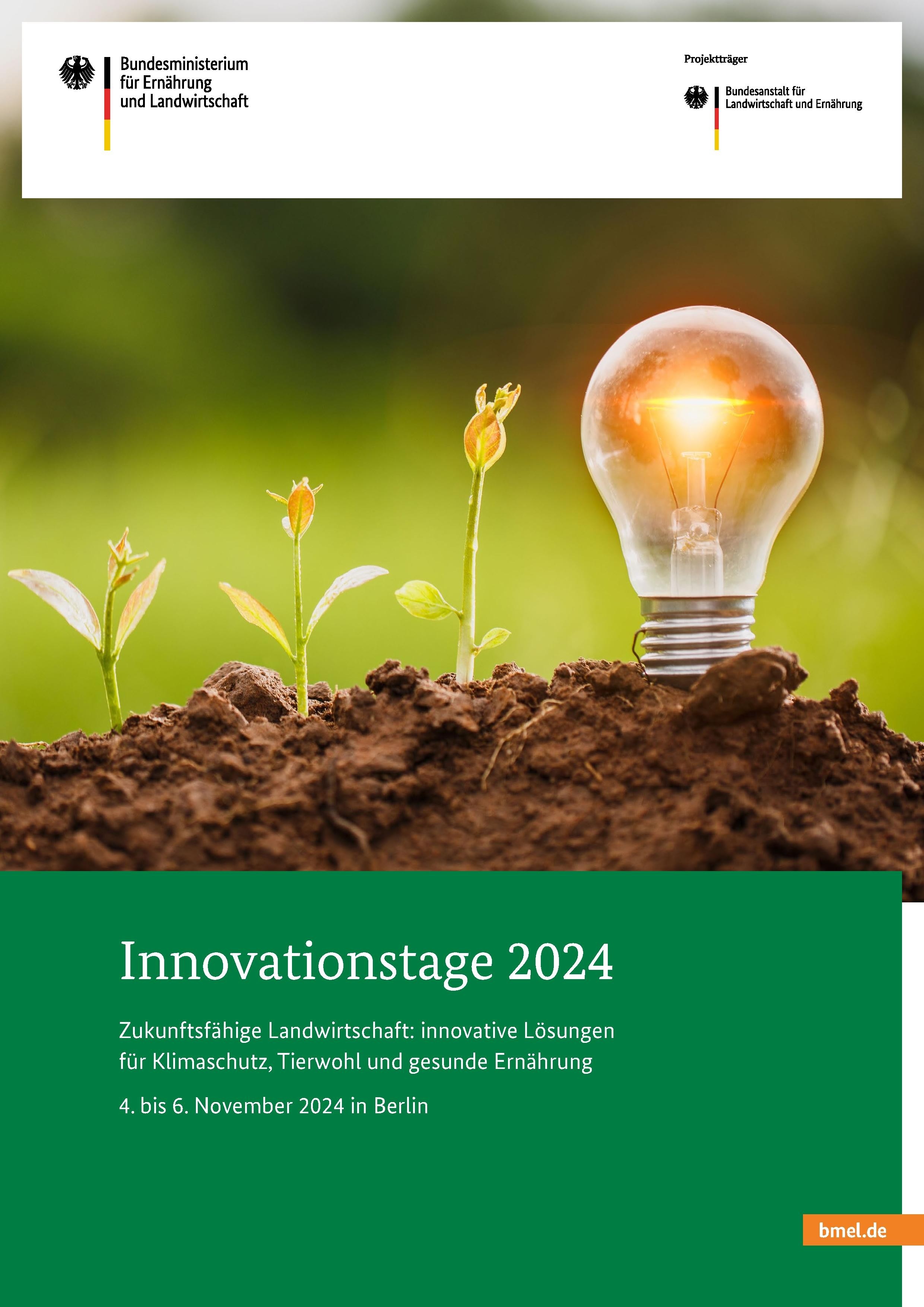 Die Innovationsförderung - Tagungsband Innovationstage 2024