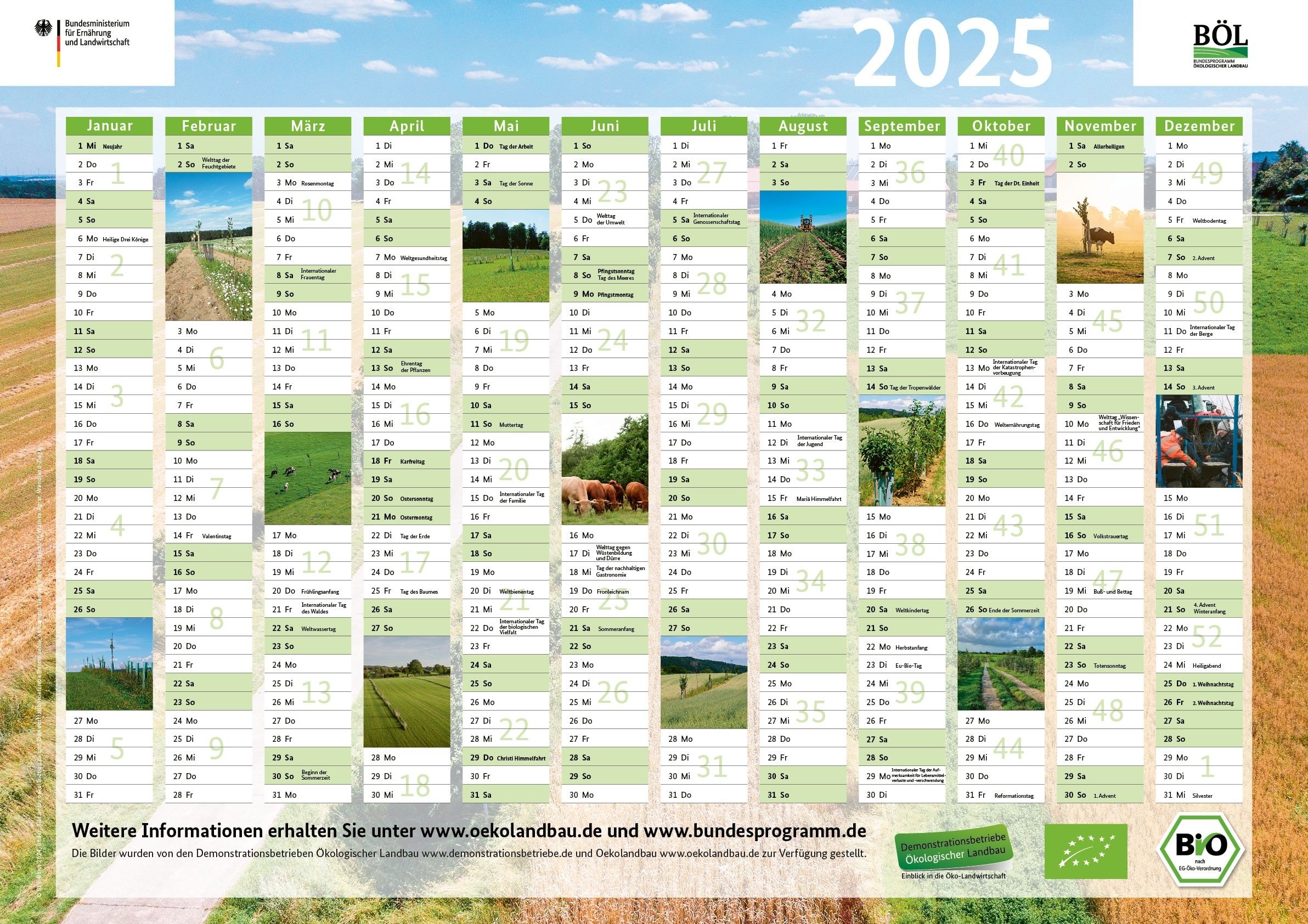 Wandkalender 2025