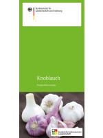 Knoblauch