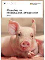 Alternativen zur betäubungslosen Ferkelkastration