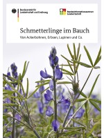 Schmetterlinge im Bauch