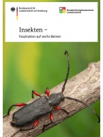 Insekten - Faszination auf sechs Beinen