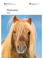 Pferderassen - Poster