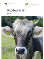 Rinderrassen - Poster