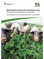Ökologische Mastschweinefütterung – Wie können die Tiere bedarfsgerecht versorgt werden?