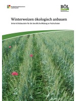 Winterweizen ökologisch anbauen