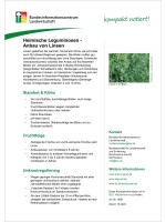 Heimische Leguminosen - Anbau von Linsen