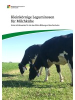 Kleinkörnige Leguminosen für Milchkühe