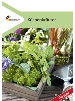 Küchenkräuter