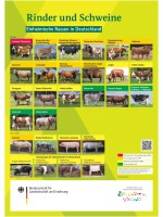 Übersichtsposter einheimischer Rinder- und Schweinerassen in Deutschland